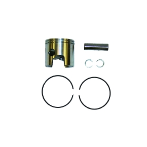 Sierra Pistons de moteur nautique