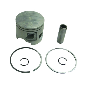 Sierra Pistons de moteur nautique