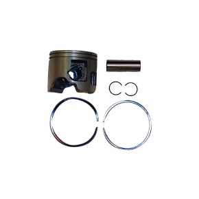 Sierra Pistons de moteur nautique