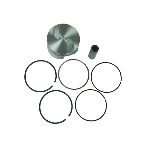 Sierra Pistons de moteur nautique