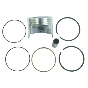 Sierra Pistons de moteur nautique