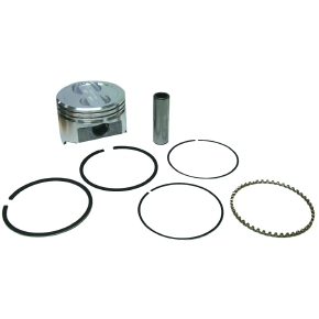 Sierra Pistons de moteur nautique