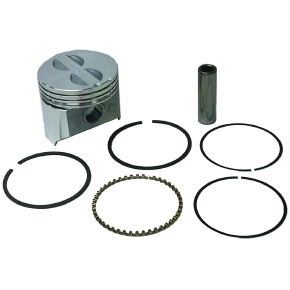 Sierra Pistons de moteur nautique