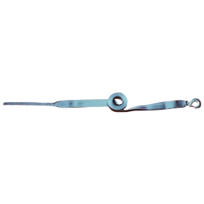 StarBrite Sangle de treuil de 2