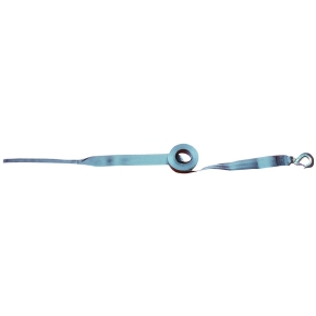 StarBrite Sangle de treuil de 2