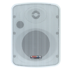 BossAudio Enceinte acoustique marine à 2 voies