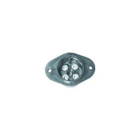 Thmarine Fiche et accessoires pour moteur de pêche à la traîne